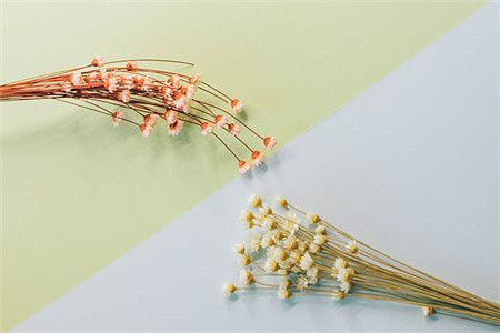 2020年贵州省成考语文主观题答题技巧，你值得一看！